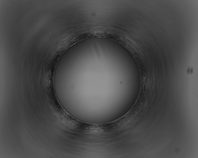 X0000091530702200708311311