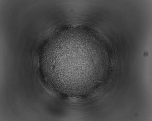 X0000091530703200708311311