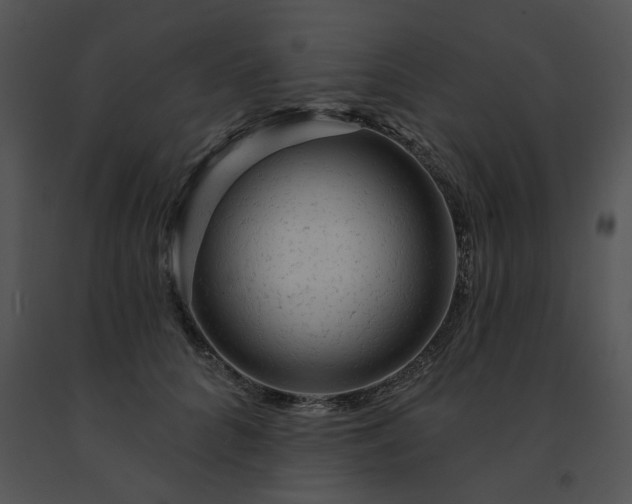 X0000091530704200708311311