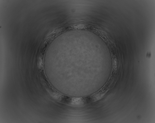 X0000091530705200708311311