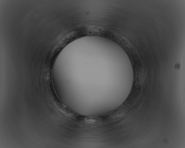 X0000091530706200708311311