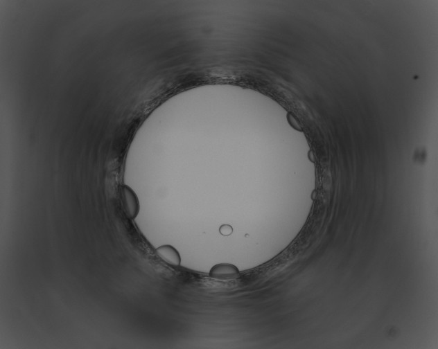 X0000091530707200708311311