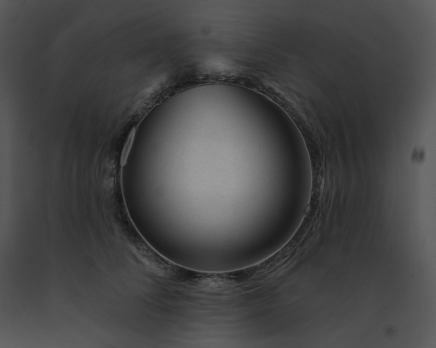 X0000091530708200708311311