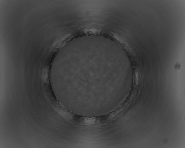 X0000091530709200708311311