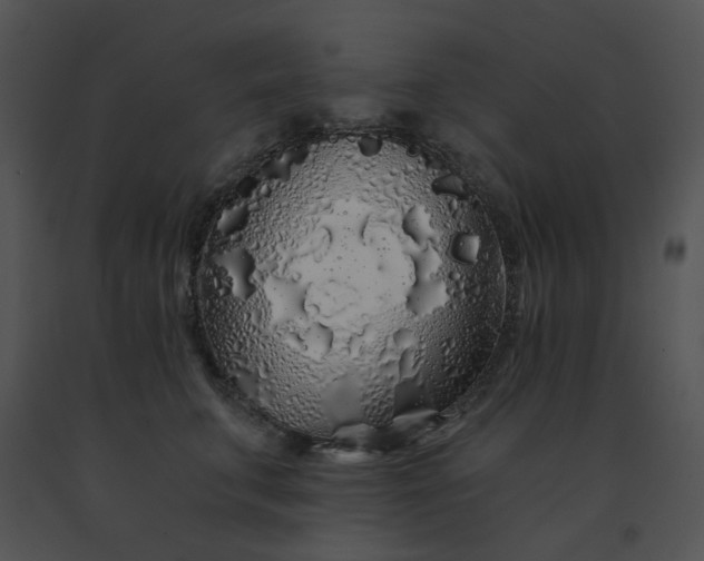 X0000091530711200708311311