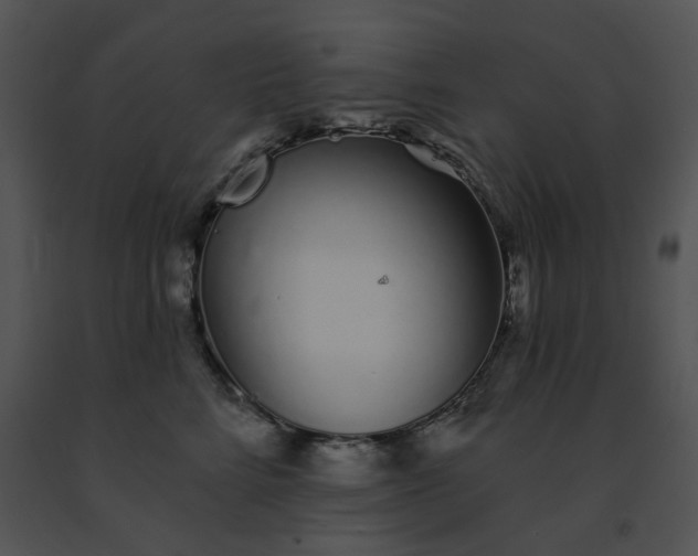 X0000091530712200708311311