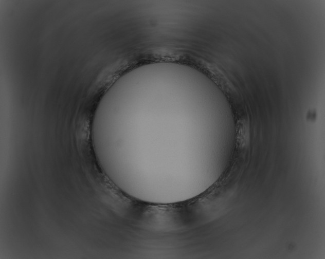 X0000091530713200708311311