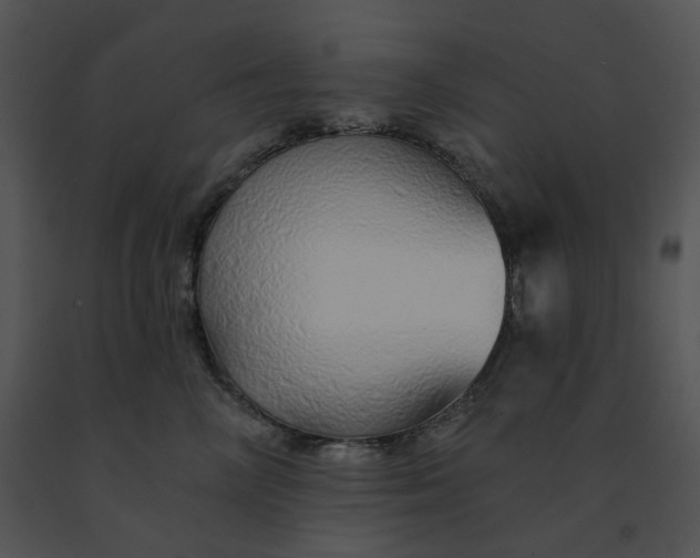 X0000091530714200708311311