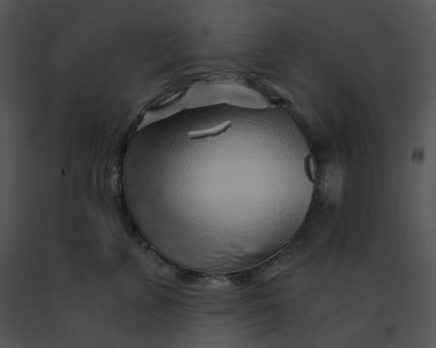 X0000091530715200708311311