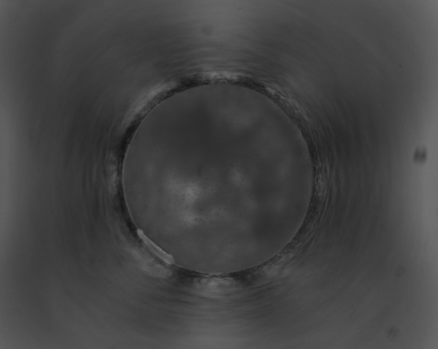 X0000091530716200708311311