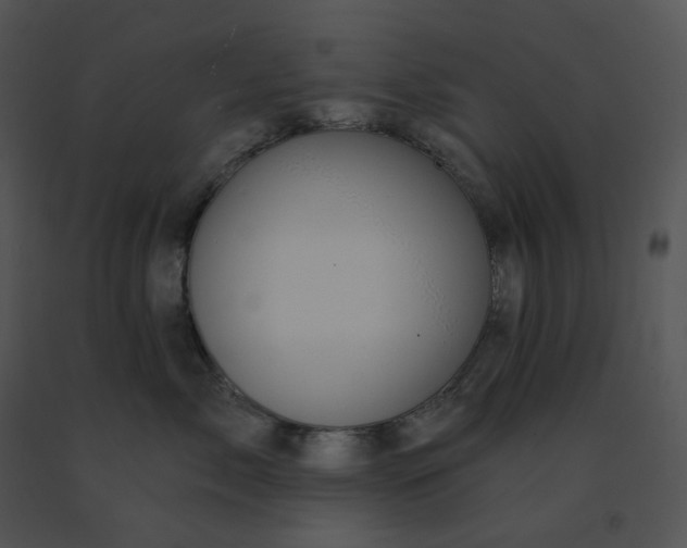 X0000091530717200708311311