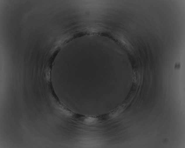X0000091530718200708311311