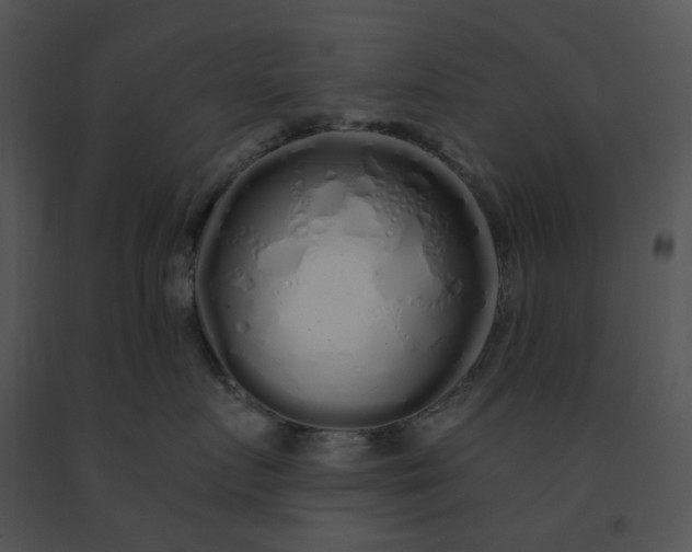 X0000091530719200708311311