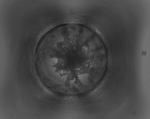 X0000091530721200708311310