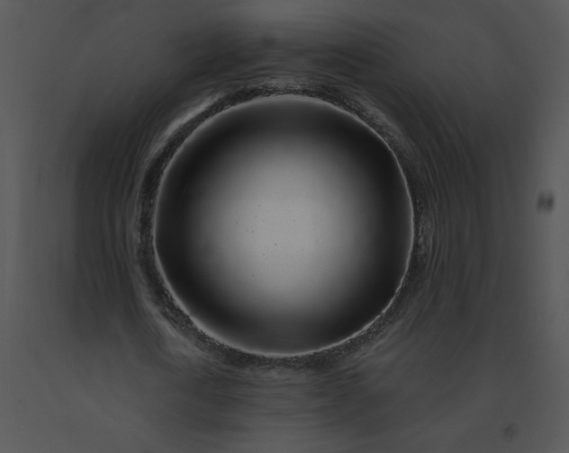 X0000091530722200708311310