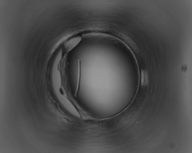 X0000091530723200708311310