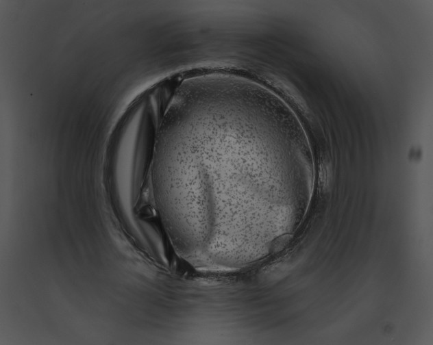 X0000091530724200708311310