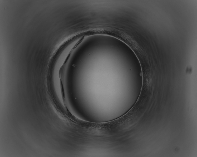 X0000091530728200708311310