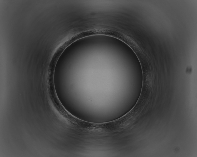 X0000091530730200708311310