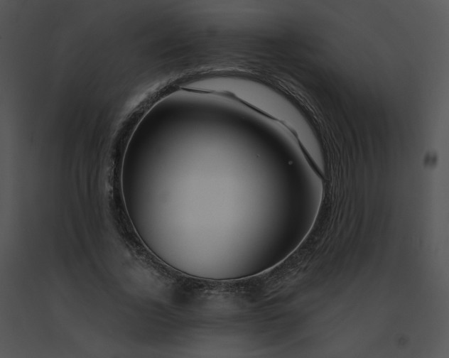 X0000091530732200708311310