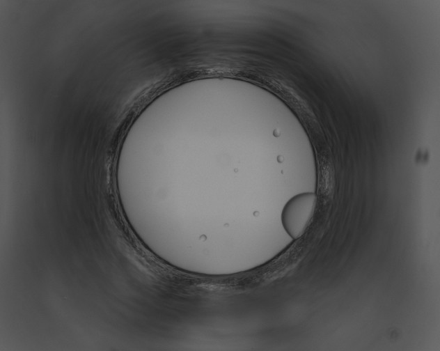 X0000091530733200708311310