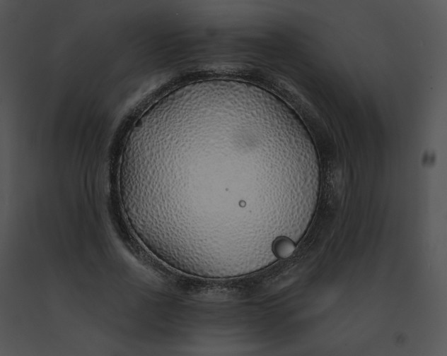 X0000091530734200708311310