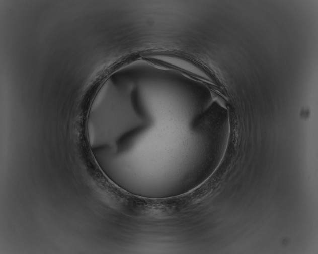 X0000091530736200708311310