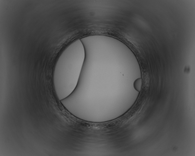 X0000091530737200708311310