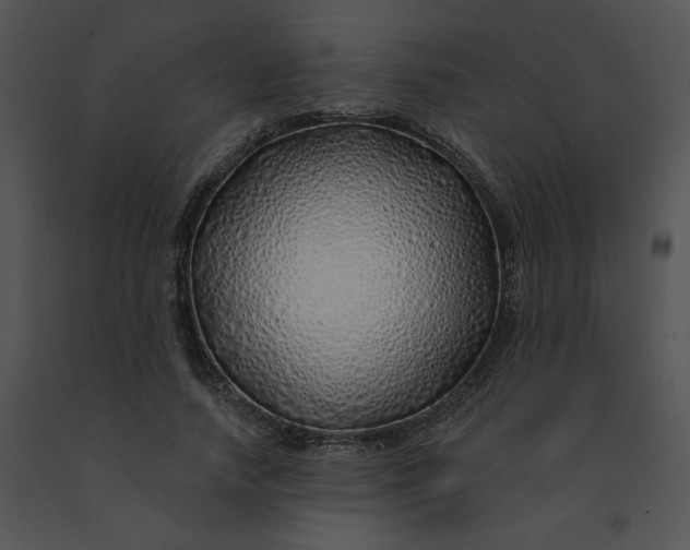X0000091530738200708311310