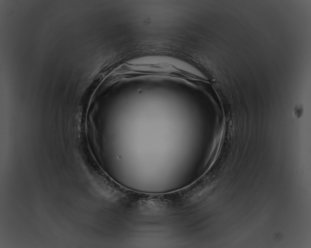 X0000091530739200708311310