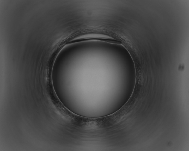 X0000091530740200708311310