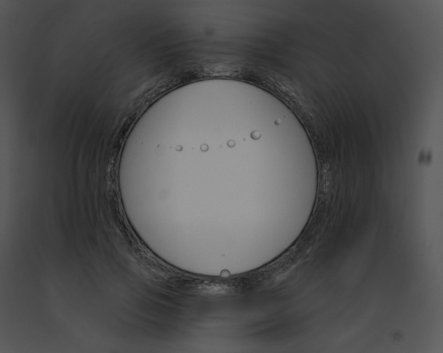 X0000091530741200708311310