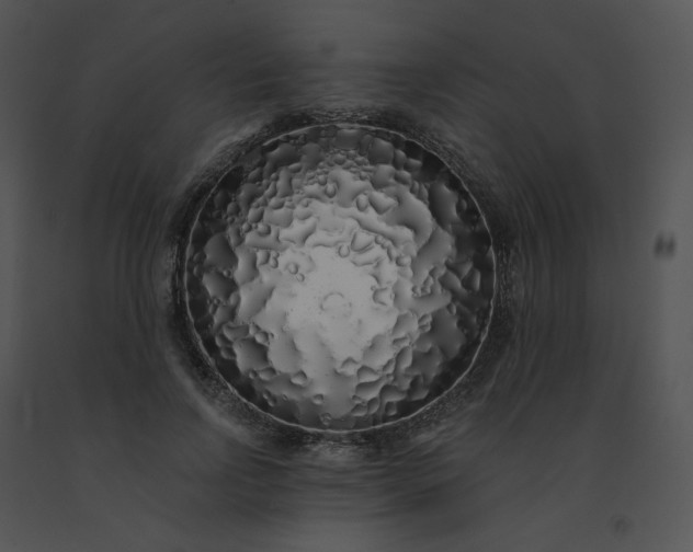 X0000091530742200708311310