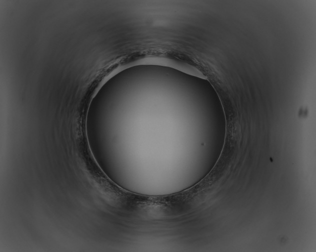 X0000091530743200708311310
