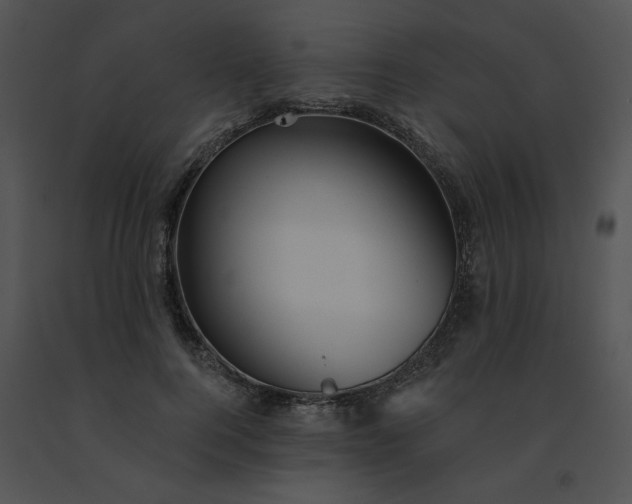 X0000091530744200708311310