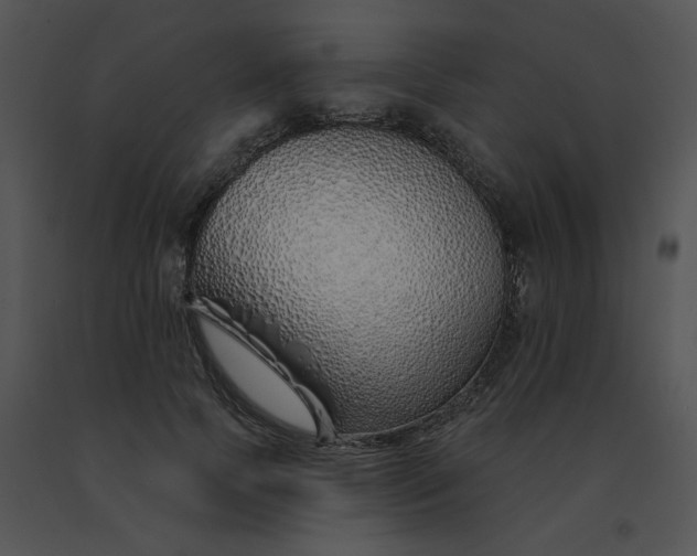 X0000091530745200708311310