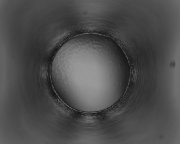 X0000091530746200708311310