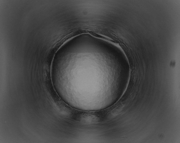X0000091530747200708311310