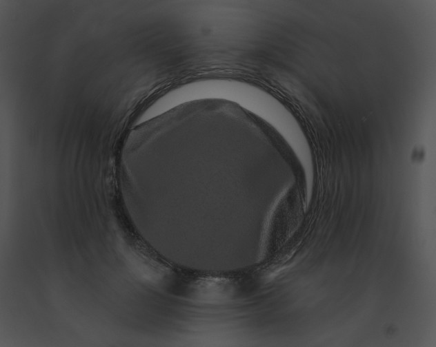 X0000091530748200708311310