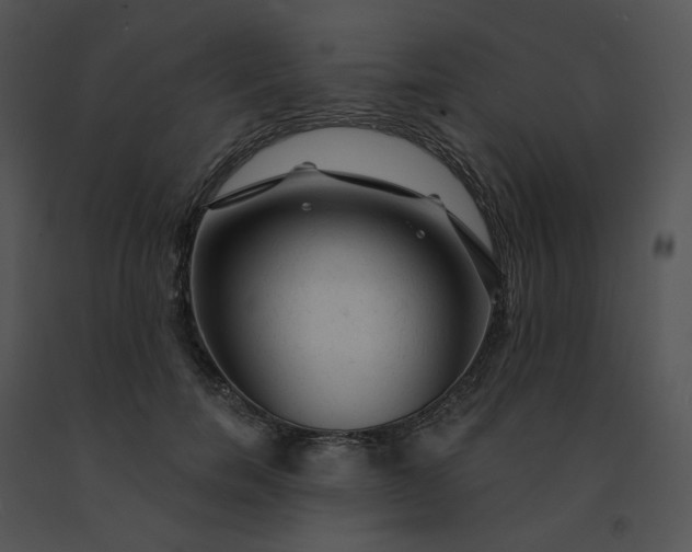 X0000091530750200708311310