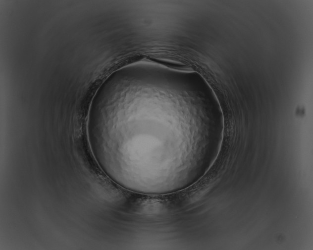 X0000091530751200708311310