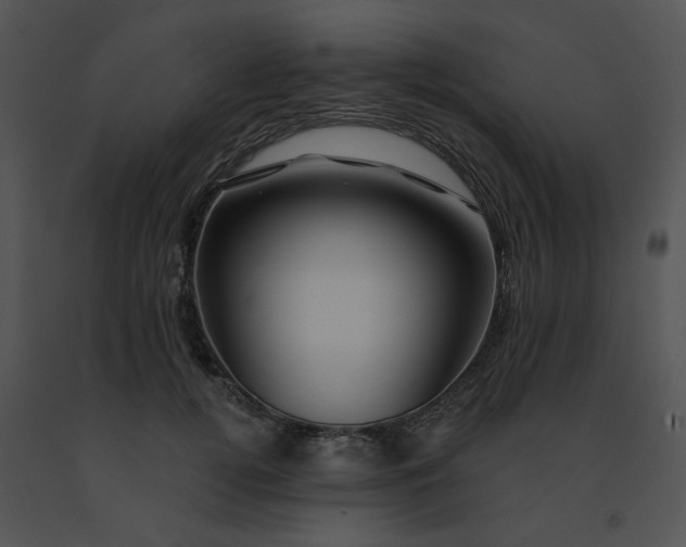 X0000091530752200708311310