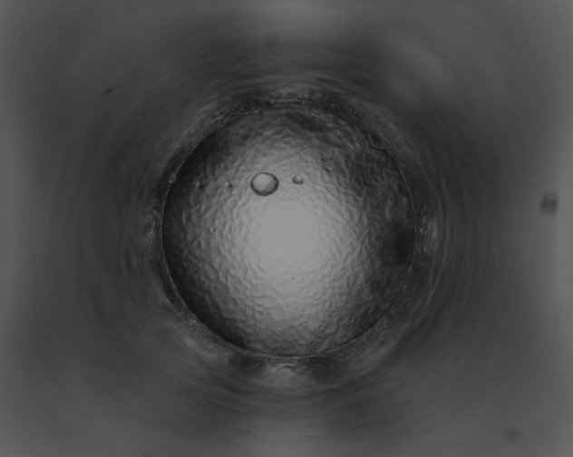 X0000091530753200708311310