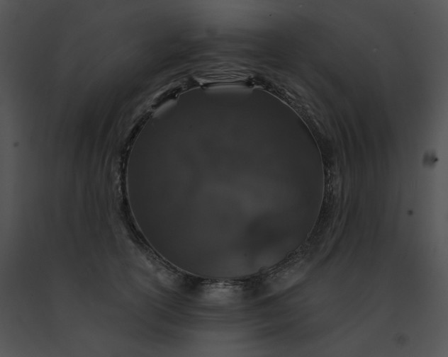 X0000091530754200708311310