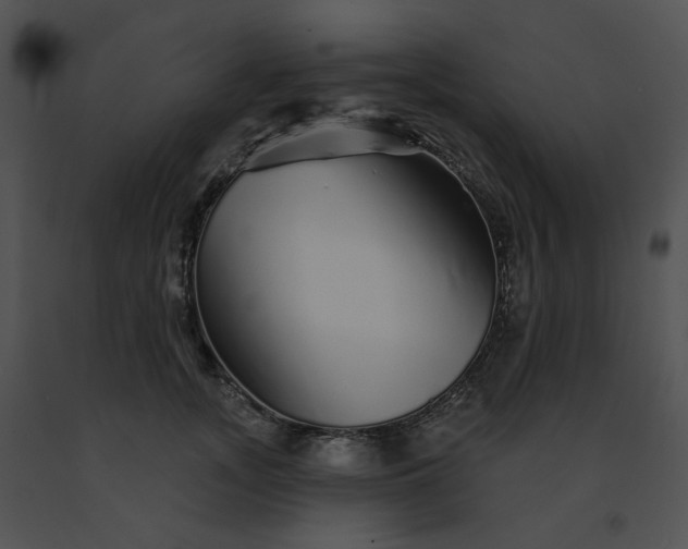 X0000091530755200708311310
