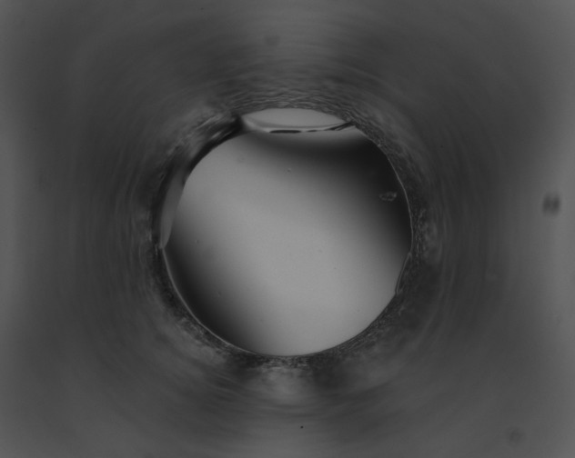 X0000091530756200708311310