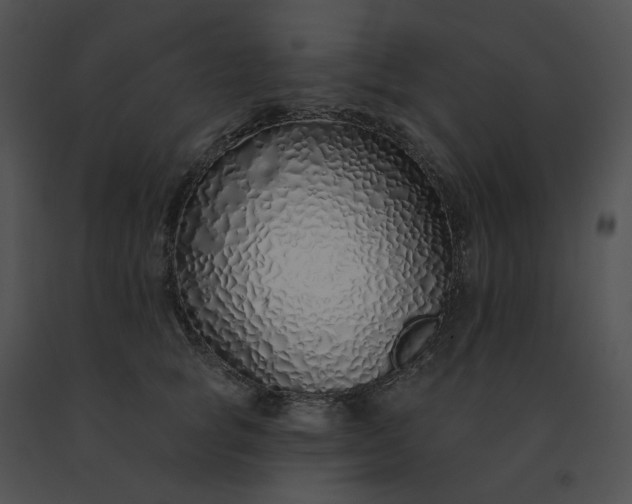 X0000091530757200708311310