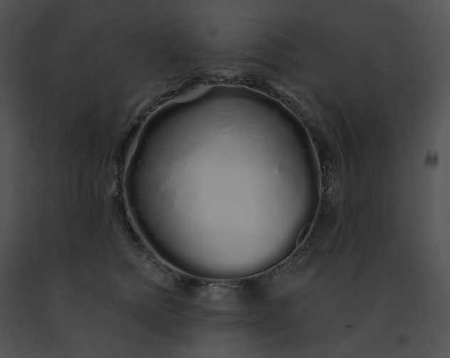 X0000091530758200708311310