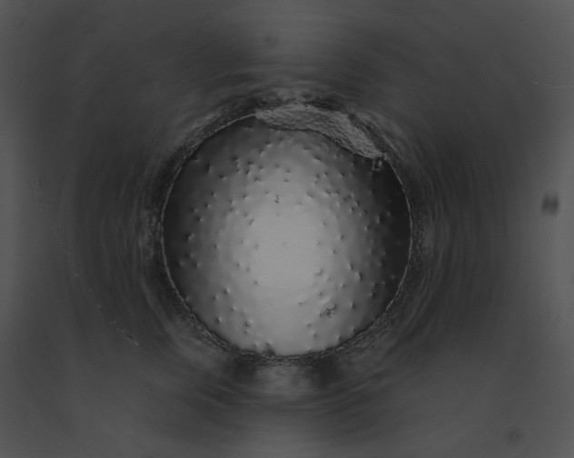 X0000091530759200708311310