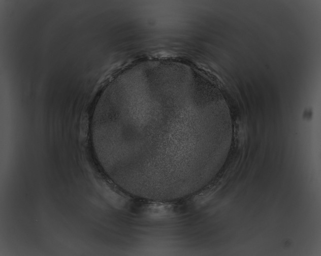 X0000091530760200708311310